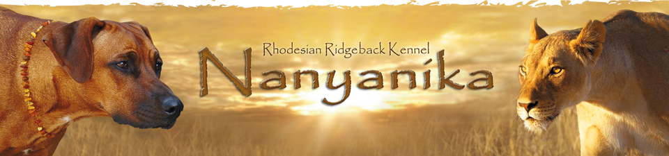 Nanyanika