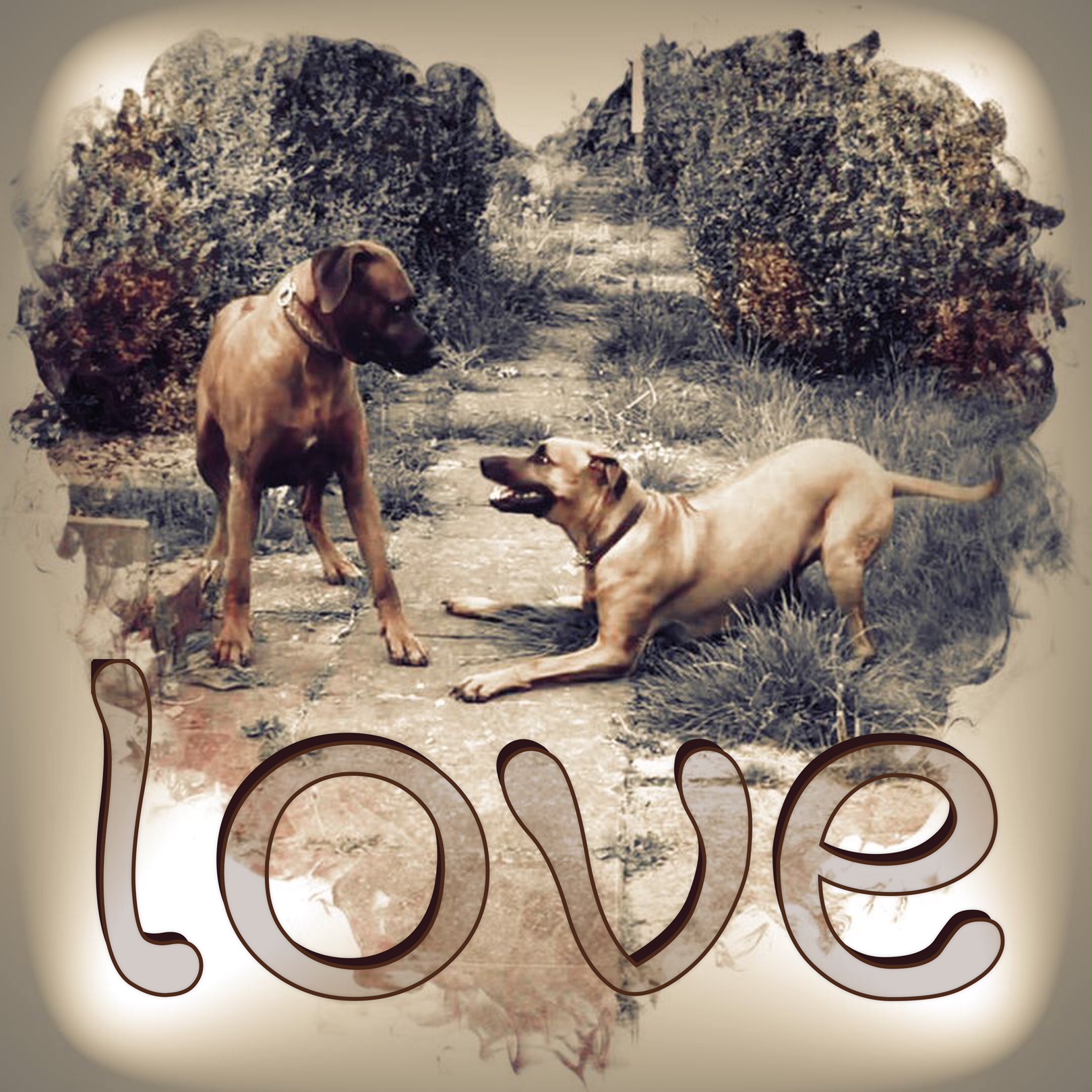 Tau & Khaya Tau & Khaya