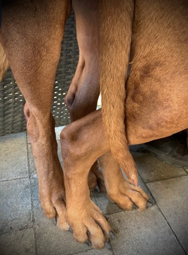 mating Nyala & Ethan