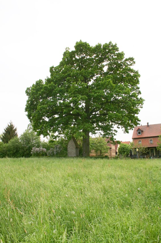 direkt am Ortsrand gelegen