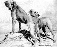 RR von Scott Langley RR von Scott Langley