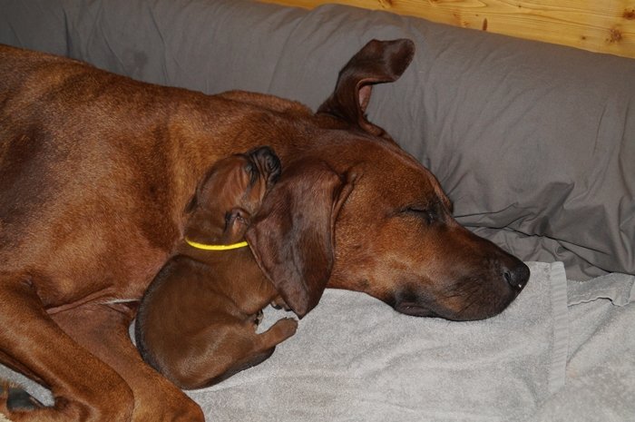 mit Mami beim Kuscheln