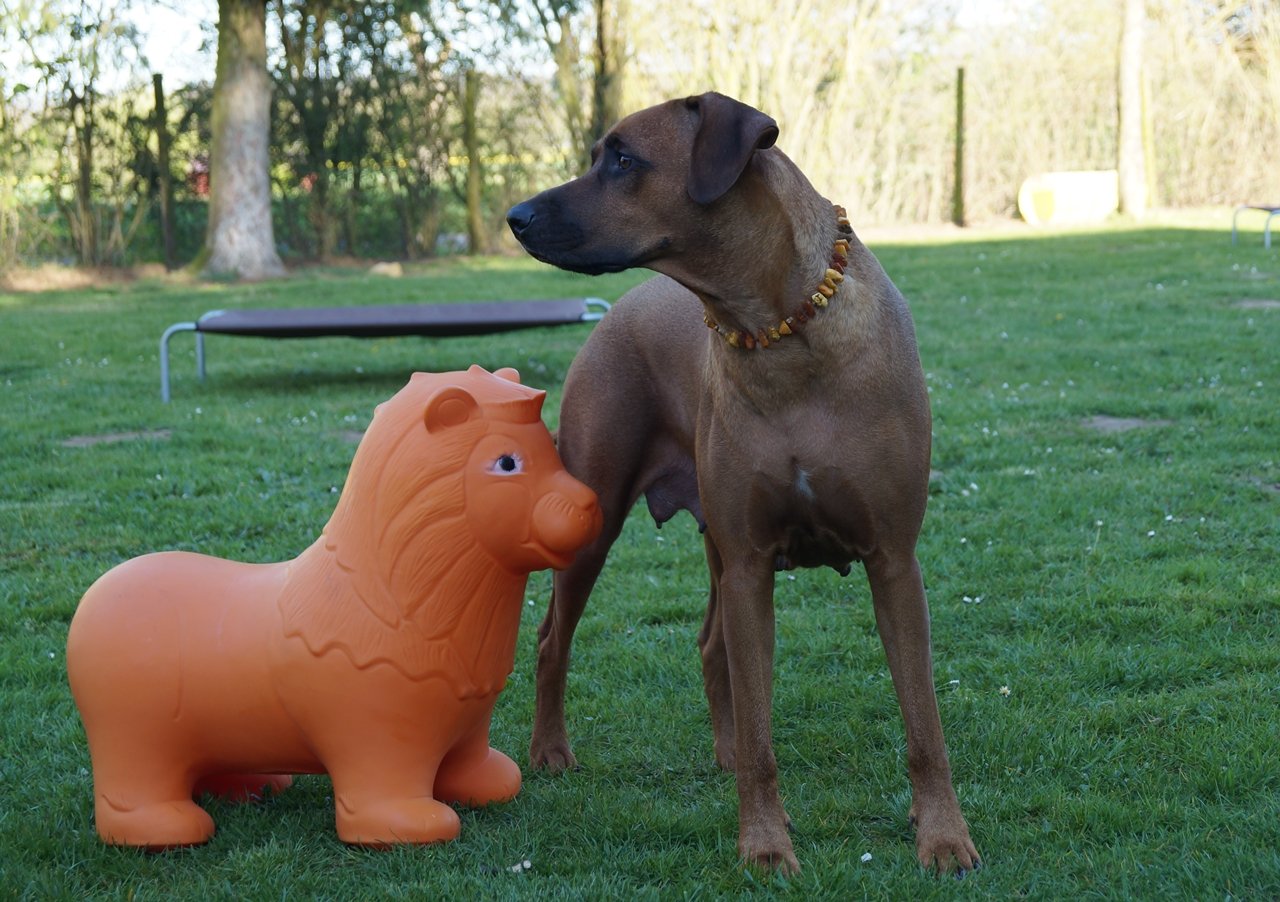 Mama Khaya Alles im Blick die Mami