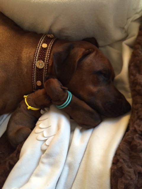 Mama Khaya Mama Khaya gibt so viel Liebe