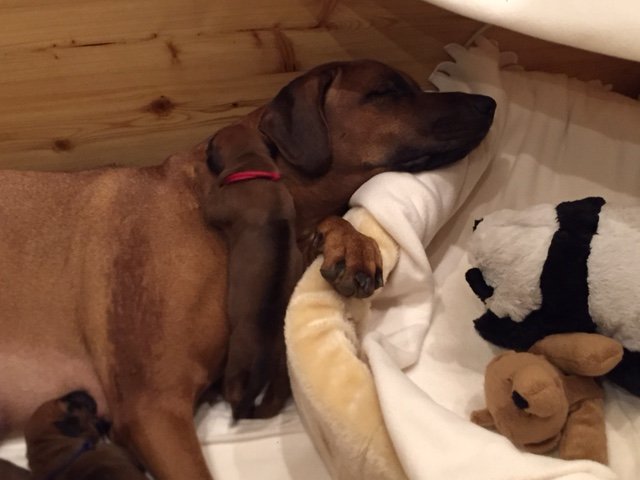 Beste Mami Khaya Beste Mami Khaya