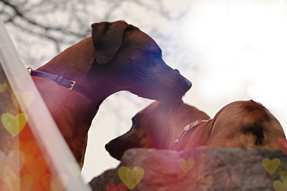 Jomo & Khaya in Love Jomo & Khaya in Love